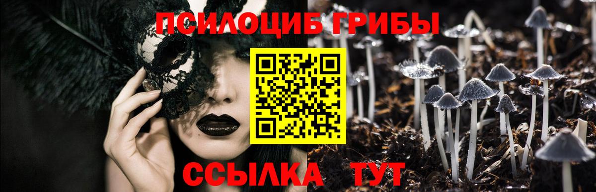 Галлюциногенные грибы Magic Shrooms Каменск-Уральский